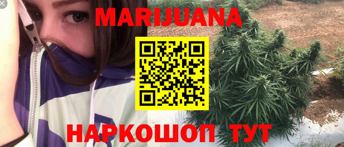 Конопля гибрид  Вход с VPN  Канабис Ganja  Дивногорск  Бошки марихуана конопля 
